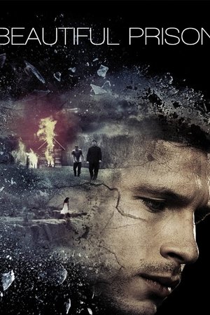 Watch Free Beautiful Prison (2016)