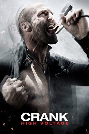 Watch Free Crank High Voltage 2009