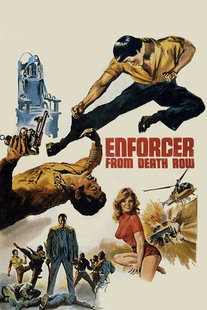 Watch Free Enforcer from Death Row (1976)