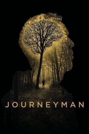 Watch Free Journeyman (2017)