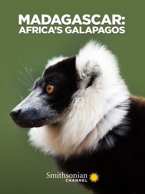 Watch Free Madagascar Africas Galapagos (2019)