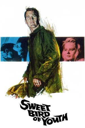 Watch Free Sweet Bird of Youth (1962)