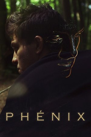 Watch Free The Phoenix (2020)