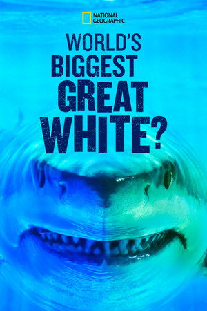 Watch Free Worlds Biggest Great White Shark (2019)