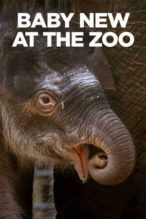 Watch Free Baby New at the Zoo (2007)