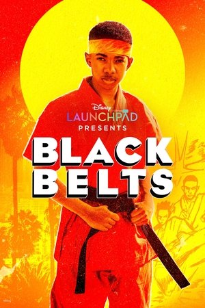 Watch Free Black Belts (2023)