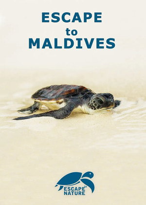 Watch Free Escape to Maldives (2015)