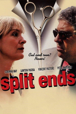 Watch Free Split Ends (2009)