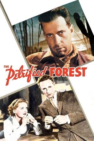 Watch Free The Petrified Forest (1936)