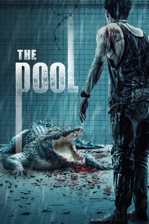 Watch Free The Pool (2018)