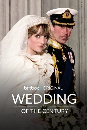 Watch Free The Wedding of the Century