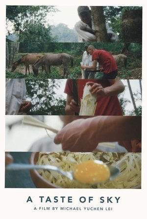 Watch Free A Taste of Sky (2019)