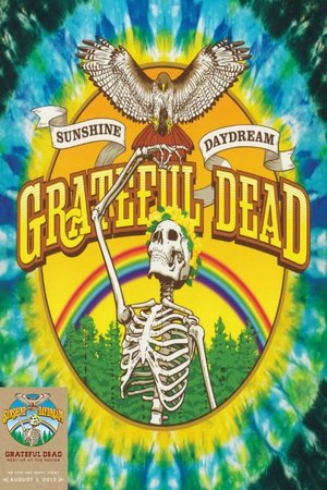 Watch Free Sunshine Daydream (2013)