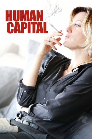 Watch Free Human Capital (2013)