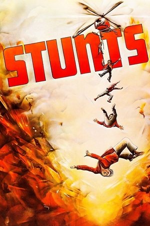 Watch Free Stunts (1977)