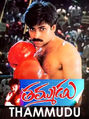 Watch Free Thammudu (1999)