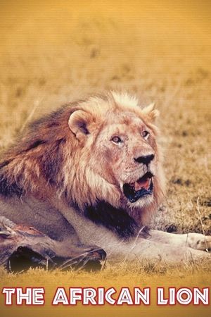 Watch Free The African Lion (1955)
