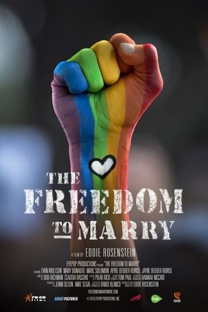 Watch Free The Freedom to Marry (2016)