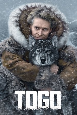 Watch Free Togo (2019)
