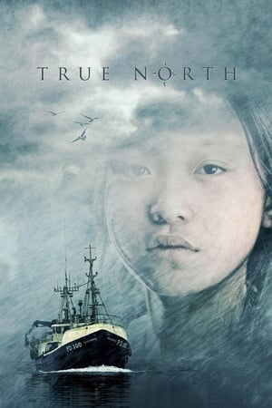 Watch Free True North (2006)