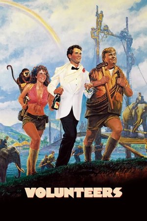 Watch Free Volunteers (1985)