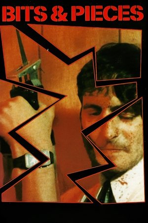 Watch Free Bits and Pieces (1985)