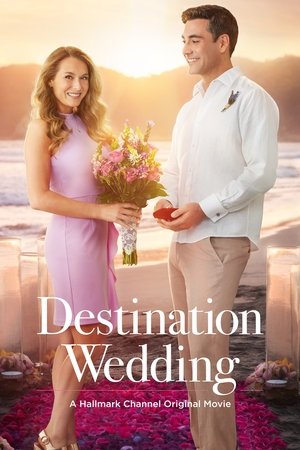 Watch Free Destination Wedding (2017)