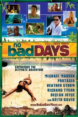 Watch Free No Bad Days (2008)