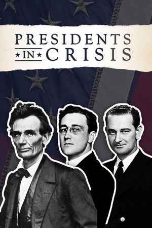 Watch Free Presidents in Crisis (2017)