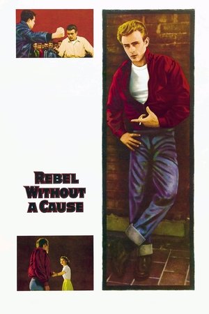 Watch Free Rebel Without a Cause (1955)