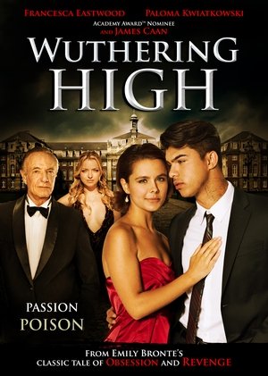 Watch Free The Wrong Boyfriend (2015)