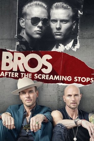 Watch Free After the Screaming Stops (2018)