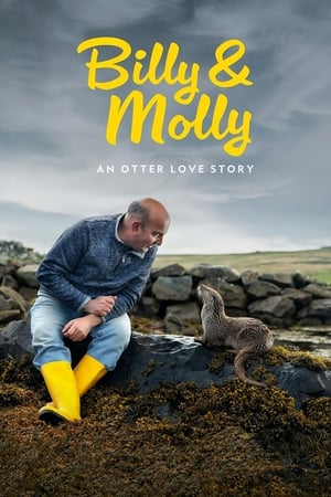 Watch Free Billy and Molly: An Otter Love Story (2024)