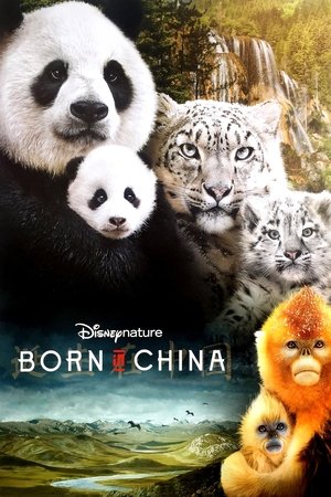 Watch Free Born in China (2016)