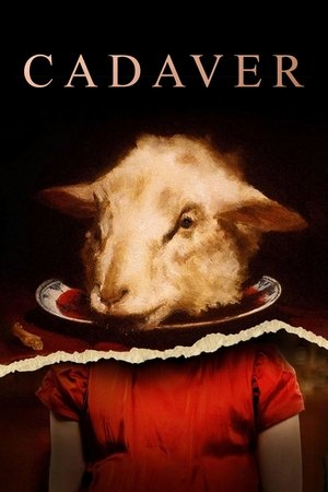 Watch Free Cadaver (2020)