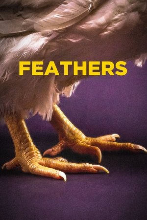 Watch Free Feathers (2021)