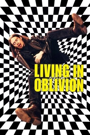 Watch Free Living in Oblivion (1995)