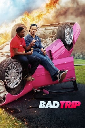 Watch Free Bad Trip (2020)