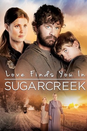 Watch Free Love Finds You in Sugarcreek (2014)