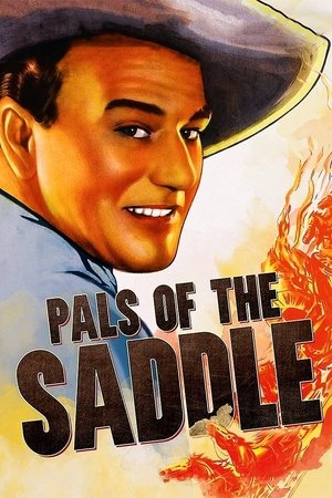Watch Free Pals of the Saddle (1938)