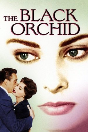 Watch Free The Black Orchid (1958)