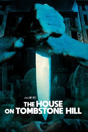 Watch Free Dead Dudes in the House (1989)