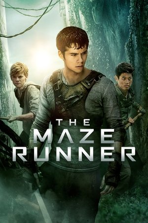 Watch Free The Maze Runner (2014)