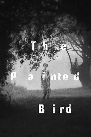 Watch Free The Painted Bird (2019)