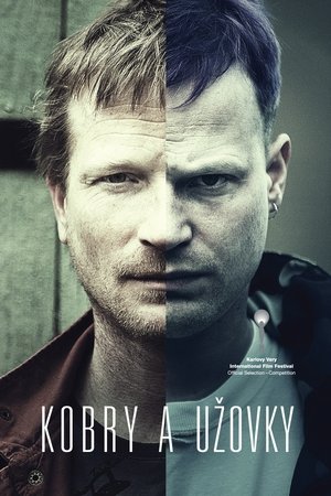 Watch Free The Snake Brothers (2015)