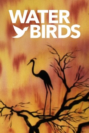 Watch Free Water Birds (1952)