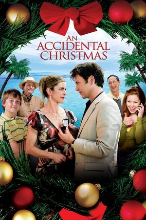 Watch Free An Accidental Christmas (2007)