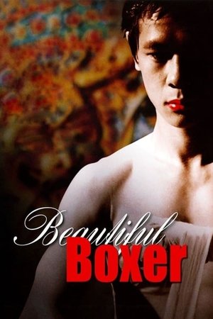Watch Free Beautiful Boxer (2003)