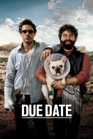 Watch Free Due Date (2010)