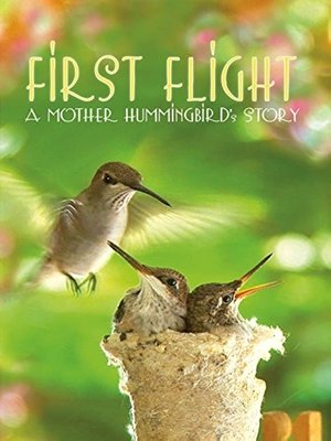 Watch Free First Flight A Mother Hummingbirds Story (2009)